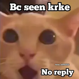 🤔 150adffd Bc seen krke
No reply gatto, meme, divertente, animale, visto, noreply whatsapp sticker