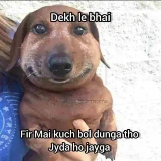 😂 1cf7f664 Dekh le bhai
Fir Mai kuch bol dunga tho
Jyda ho jayga cane, meme, divertente, animale, animale domestico whatsapp sticker