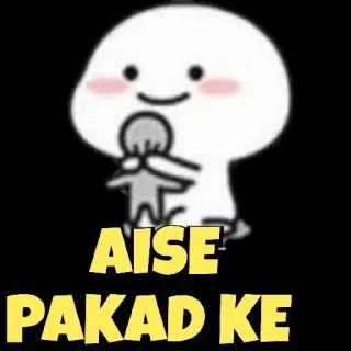 🤪 228e422d AISE PAKAD KE whatsapp sticker