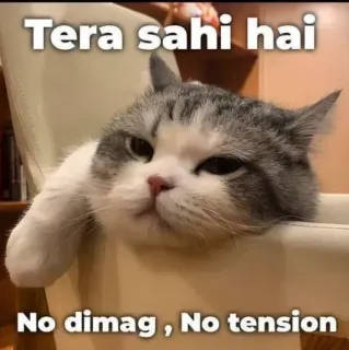 😒 238a7159 Tera sahi hai
No dimag , No tension gatto, divertente, hindi, meme, rilassato, pigro whatsapp sticker