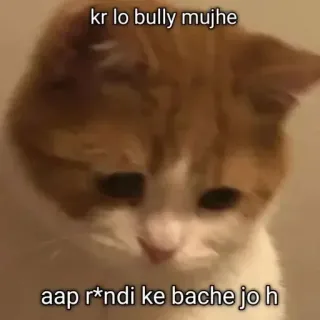 🐅 2c9b0fd5 kr lo bully mujhe
aap r*ndi ke bache jo h gatto, meme, offensivo, triste whatsapp sticker