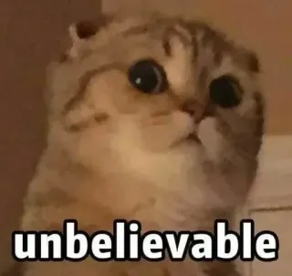 😲 2e5f952b unbelievable gatto, animale, carino, meme, scioccato whatsapp sticker