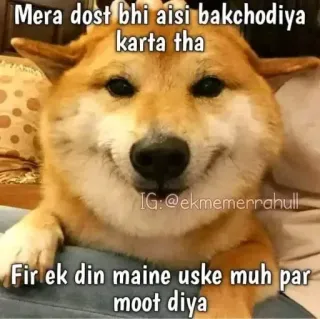🙂 5a6fed3c Mera dost bhi aisi bakchodiya
karta tha
Fir ek din maine uske muh par
moot diya cane, meme, divertente, animale, offensivo whatsapp sticker