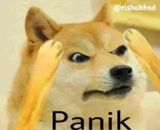 😳 5e3dff1a Panik cane, meme, panico, arrabbiato, divertente whatsapp sticker