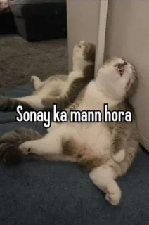 🤓 62332a35 Sonay ka mann hora gatto, sonno, pigro, divertente whatsapp sticker
