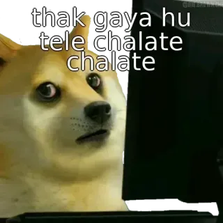 😭 736bca2f thak gaya hu tele chalate chalate doge, meme, stanco, internet, animale whatsapp sticker