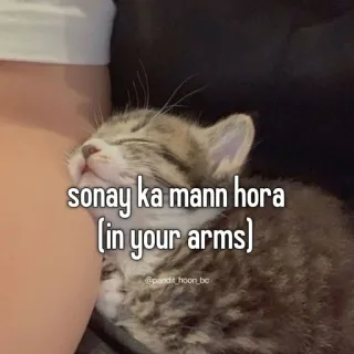 😣 e74c0102 sonay ka mann hora (in your arms) gatto, dormire, braccia, carino, animale domestico whatsapp sticker