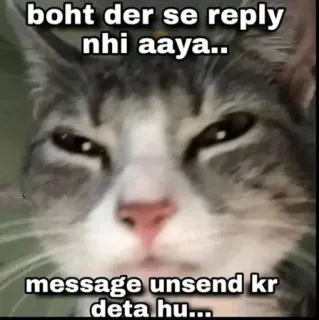 😔 f9c481f3 boht der se reply nhi aaya..
message unsend kr deta hu... gatto, meme, divertente, animale whatsapp sticker