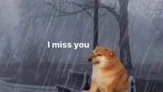 @BochillHokya's kang pack Vol.1 whatsapp stickers