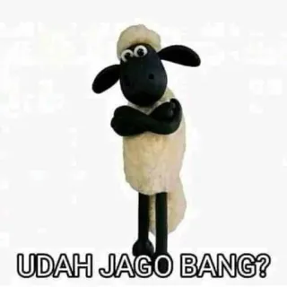 😏 7fc10bd6 Shaun the Sheep UDAH JAGO BANG? овца, мультфильм, смешной, поза, вопрос telegram sticker