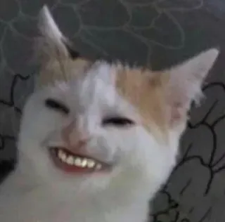 😄 b257f2ec кот, животное, мем, смешной, улыбающийся telegram sticker