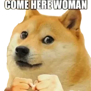 🤛 2aa7aca4 Doge COME HERE WOMAN hond, meme, dier, grappig, shiba inu telegram sticker