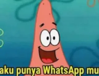 😃 fc29a16a Patrick Star Spongebob Squarepants aku punya WhatsApp mu patrick, spongebob, whatsapp, cartoon, grappig telegram sticker