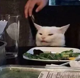 😖 0da1172a кот, мем, ужин, стол, белый кот telegram sticker