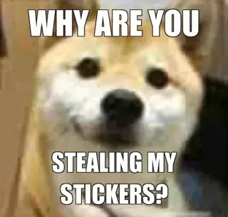 🔥 9b6f50b6 WHY ARE YOU STEALING MY STICKERS? doge, собака, мем, вопрос, стикеры, смешные telegram sticker