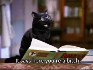 🌚 c9e83ed7 Salem Saberhagen Sabrina the Teenage Witch It says here you're a bitch. кот, чтение, книга, очки, саркастичный telegram sticker