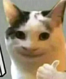 👍 0fc35b01 kucing, jempol, meme, beluga, hewan whatsapp sticker