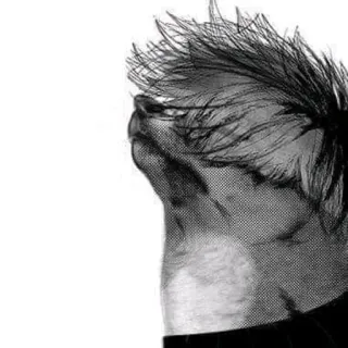 😔 204c4bee whatsapp sticker