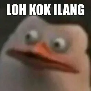 🤔 b494df99 LOH KOK ILANG penguin, meme, terkejut whatsapp sticker