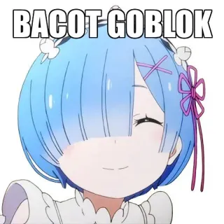 🤔 eb82adb8 Rem BACOT GOBLOK Anime, Rem, Umpatan, Hinaan, Goblog whatsapp sticker