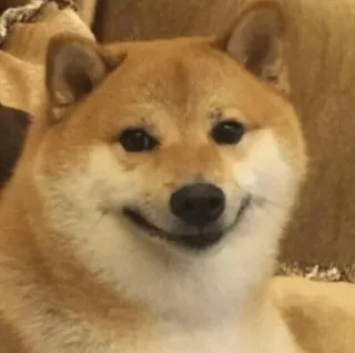 🙂 4af9cc69 Doge dog, meme, shiba inu, pet, animal telegram sticker