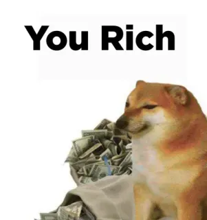 😕 e5b6ee03 Doge You Rich dog, meme, money, rich, currency telegram sticker