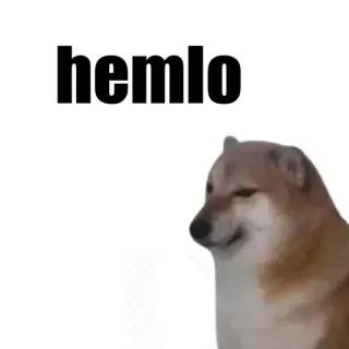 👋 f8b26e8b Doge hemlo dog, meme, cheems, animal telegram sticker