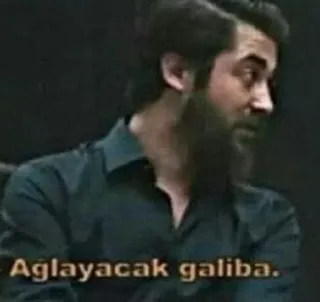 🌟 150c3835 Aglayacak galiba. telegram sticker