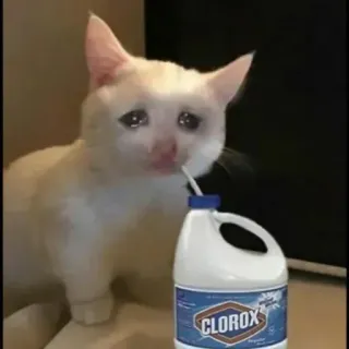 🌟 98d02d77 gato, triste, lejía, bebiendo, meme telegram sticker