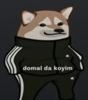 🤔 e2a5d380 domal da koyim perro, meme, gracioso, animal, eslavo, chándal telegram sticker