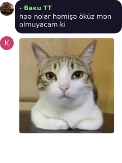 💜 073ad2db həə nolar həmişə öküz mən olmuyacam ki 猫, 動物 telegram sticker