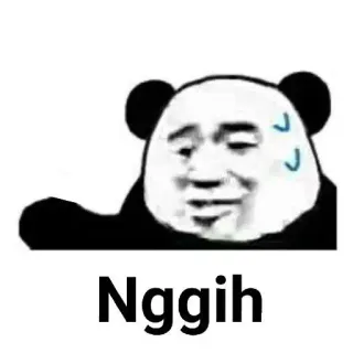 😄 2952aa35 Nggih panda, sweat, meme, expression, nervous whatsapp sticker