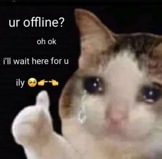 😩 557fc2e7 ur offline?
oh ok
i'll wait here for u
ily😢👉👈 kat, verdrietig, offline, wachten, ily telegram sticker