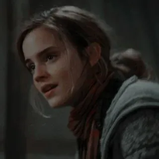 🦋 33836be5 Hermione Granger Harry Potter 哈利波特, 赫敏格兰杰, 魔法, 巫师 whatsapp sticker