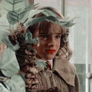 🦋 44890989 Hermione Granger Harry Potter 赫敏, 格兰杰, 哈利波特, 小孩, 女演员 whatsapp sticker