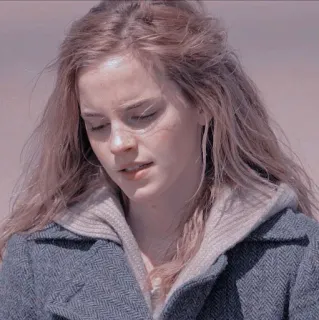 🦋 4a724184 Hermione Granger Harry Potter 赫敏·格兰杰, 哈利·波特, 电影角色, 巫师, 魔法 whatsapp sticker