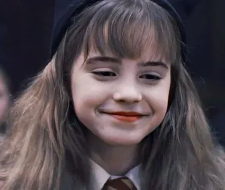 🦋 60f08a3b Hermione Granger Harry Potter 巫师, 女巫, 魔法, 学校, 朋友 whatsapp sticker