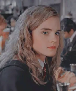 🦋 647e5eb9 Hermione Granger Harry Potter 赫敏, 格兰杰, 哈利波特, 巫师, 学校 whatsapp sticker