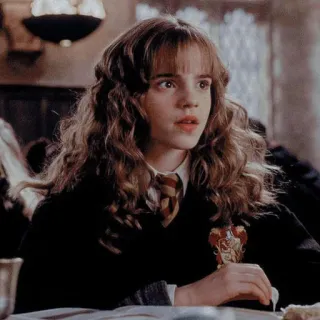🦋 a943fa38 Hermione Granger Harry Potter 巫师, 女巫, 魔法, 学校, 格兰芬多 whatsapp sticker