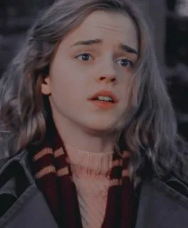 🦋 bc6da6c5 Hermione Granger Harry Potter 巫师, 魔法, 学生, 学校, 格兰芬多 whatsapp sticker