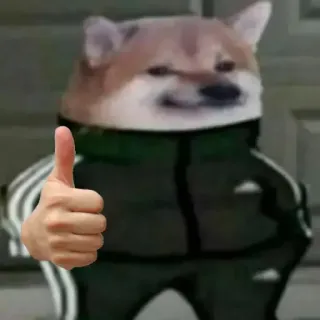 👍 2ebb7592 Doge cane, meme, pollice in su, russo, tuta whatsapp sticker