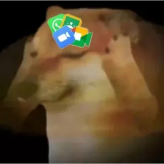 😵 5ebbf7f1 Doge cane, meme, doge, videochiamata, Zoom, WhatsApp, Google Meet whatsapp sticker