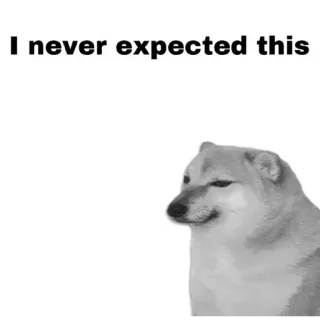 😐 ac6bb52b I never expected this doge, cane, meme, divertente, inaspettato whatsapp sticker