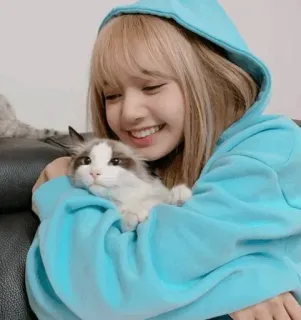 💖 55473257 Lisa (Blackpink) lisa, blackpink, gatto, idol, kpop, celebrità telegram sticker