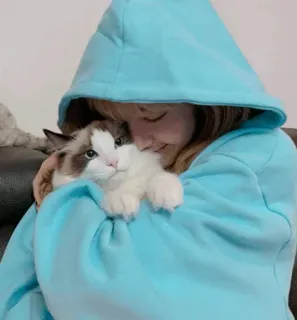 Lisa blackpink @about_cute_shincha0s kang pack telegram stickers