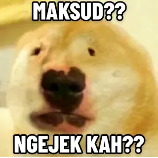 🤔 d83d4ad9 MAKSUD??
NGEJEK KAH?? hond, meme, verward, uitdrukking, vraag telegram sticker