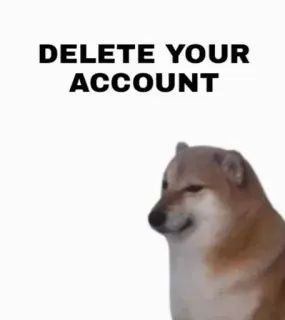☺ 0a177527 Doge DELETE YOUR ACCOUNT 개, 밈, 계정, 인터넷, 삭제 telegram sticker