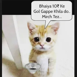 🤔 86e57f29 Bhaiya 10₹ Ke Gol Gappe Khila do.. Mirch Tez... 고양이, 음식, 골 가페, 인도 음식, 귀여운, 구걸 telegram sticker