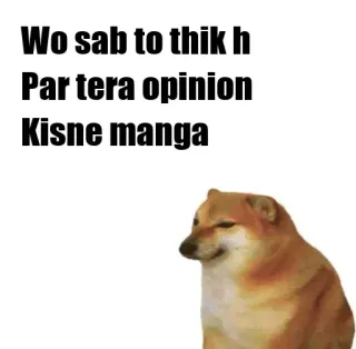 🤔 a02fe255 doge Wo sab to thik h
Par tera opinion
Kisne manga 개, 밈, 의견, cheems, 웃긴 telegram sticker