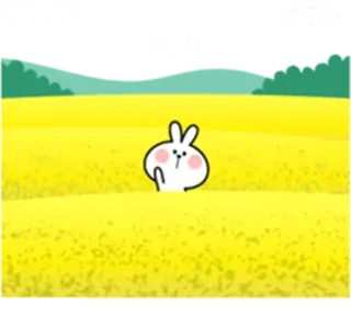 😐 cd01da6b rabbit, nature, field, cute, gesture telegram sticker